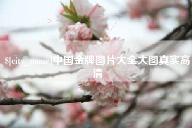 海东中国金牌图片大全大图真实高清