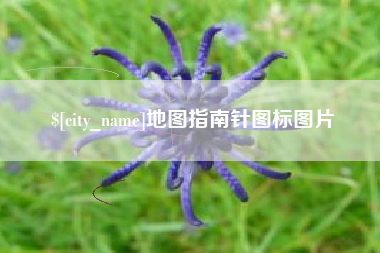 海东地图指南针图标图片