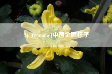 海东中国金牌样子