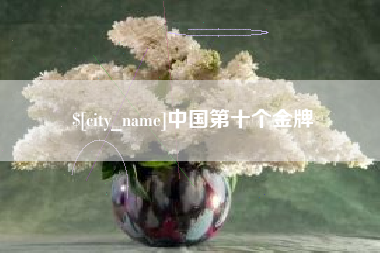 海东中国第十个金牌