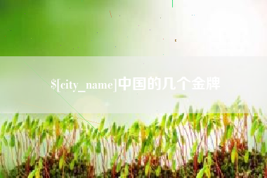 海东中国的几个金牌