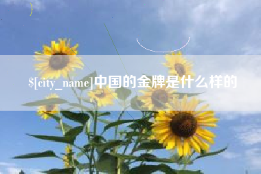 海东中国的金牌是什么样的