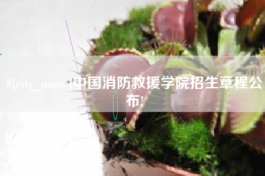 海东中国消防救援学院招生章程公布!