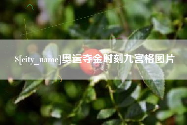 海东奥运夺金时刻九宫格图片