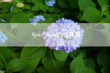 海东2022九宫