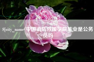 海东中国消防救援学院毕业是公务员吗