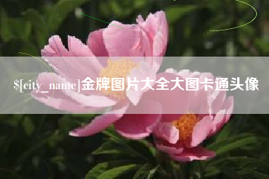 海东金牌图片大全大图卡通头像