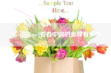 海东看看中国的金牌有多少
